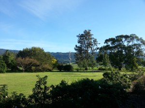 2014-04-18 08.34.40-2