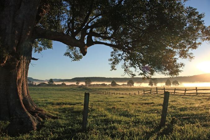 11252394_1078848295478271_6322088230168007404_n