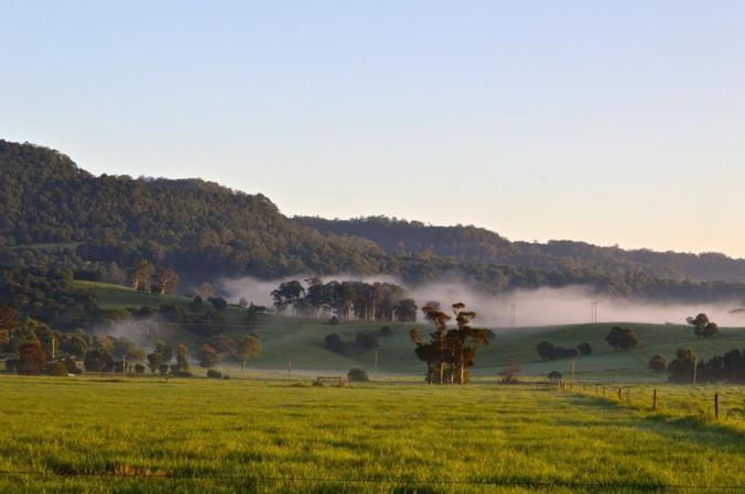 12794403_155630144824583_151237274267925057_n