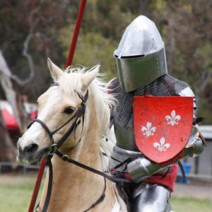 berry-celtic-festival-knights-300x300