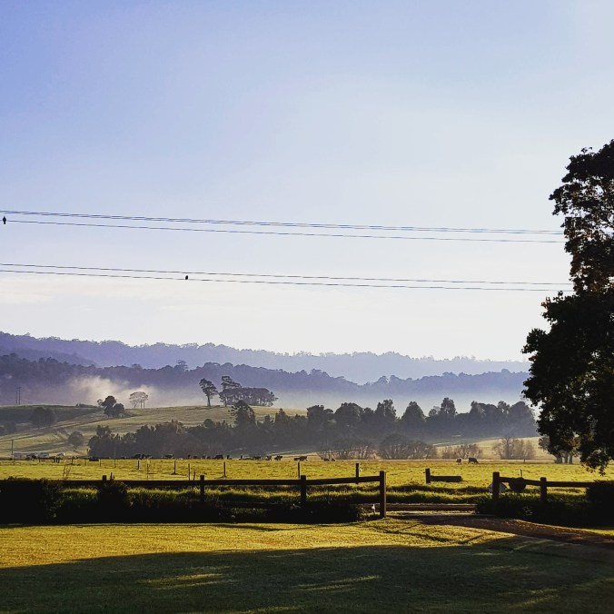 IMG_20170523_071212_925 (1)