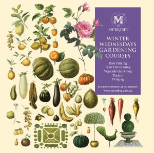 20476574_1377742688945576_1615646431852173249_n