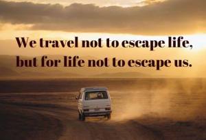 11892217_1010707048981936_6876663040804210356_n