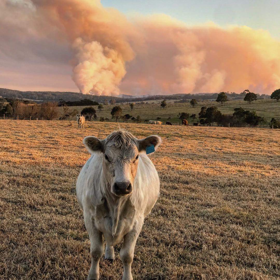 FB_IMG_1534538817743