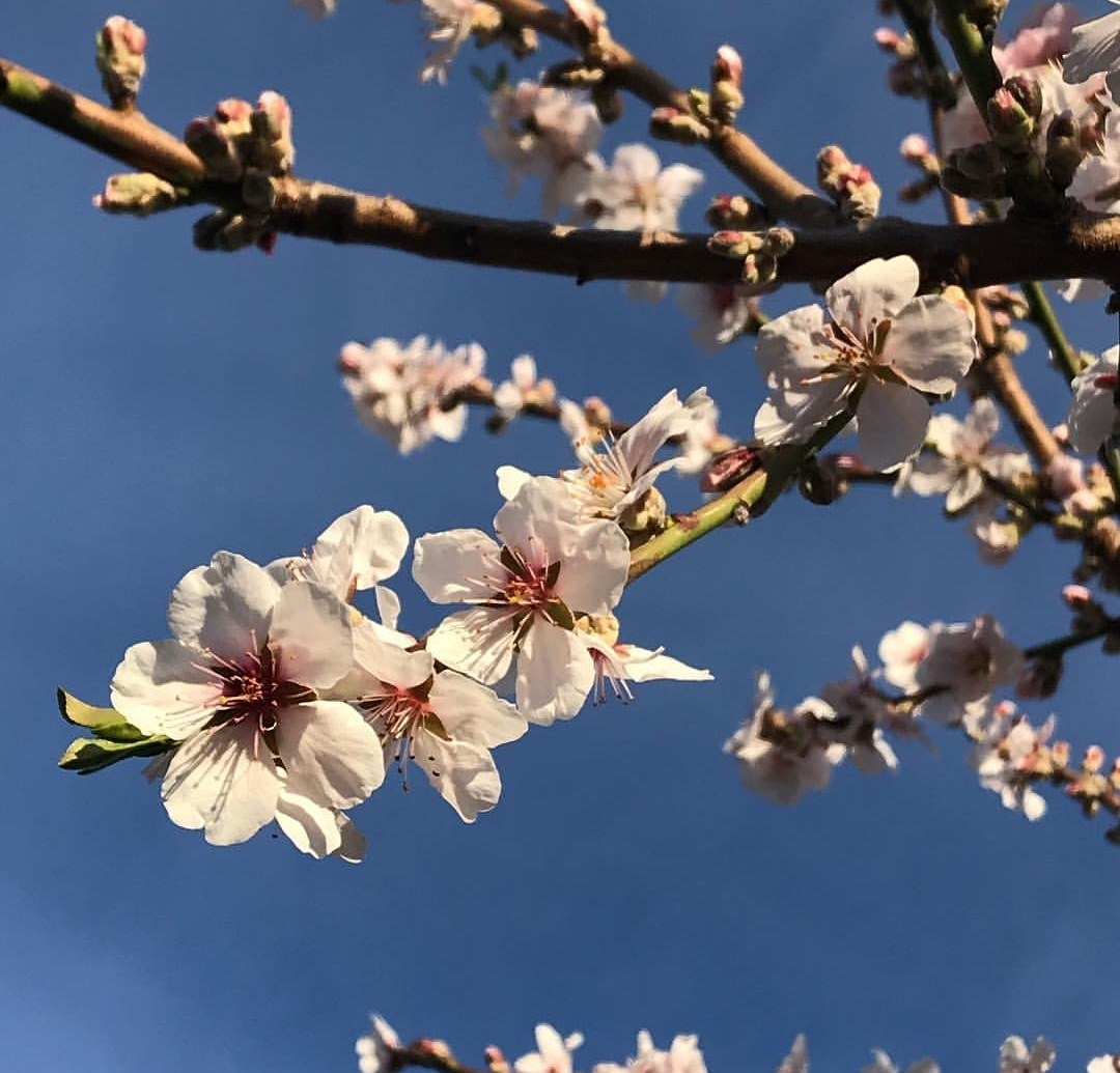 IMG_20180829_172735_372