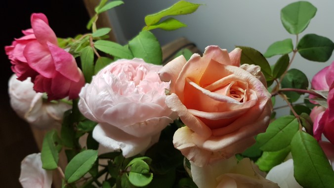 This image has an empty alt attribute; its file name is 20190318_200451.jpg