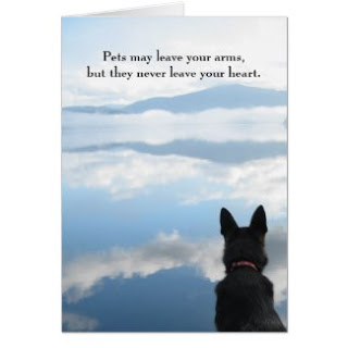Image result for quotes about dogs dying