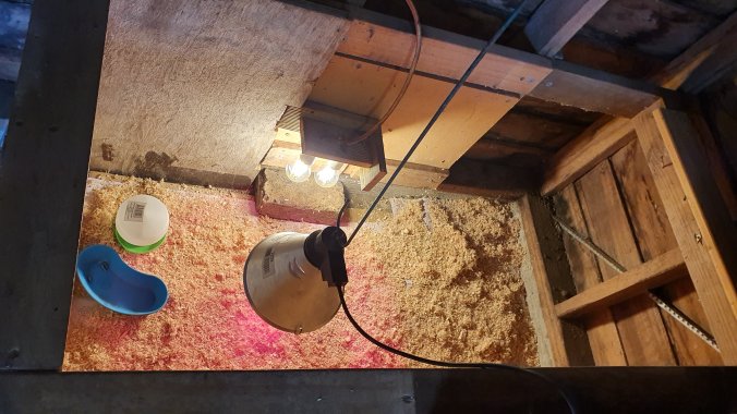 This image has an empty alt attribute; its file name is 20191005_1546361993652941001834590.jpg